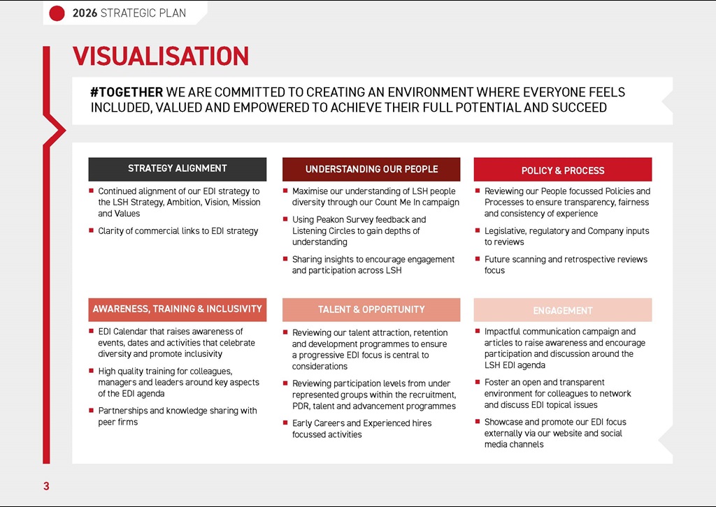 EDI Strategy 2026 1_Page_03