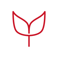 Early careers  iconk