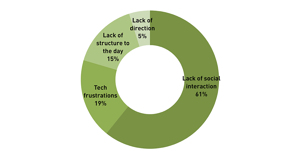 disadvantage of working from home