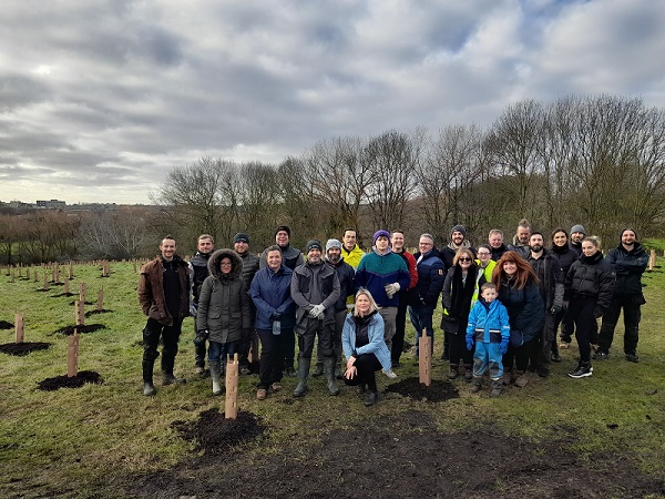 Tree planting Canvey Island